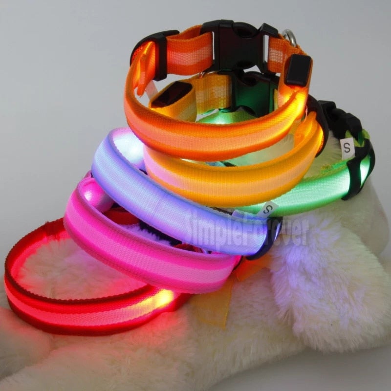 LED Dog Safety Collar – Night Glow