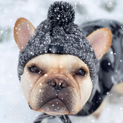 Windproof Knit Hat for Dogs