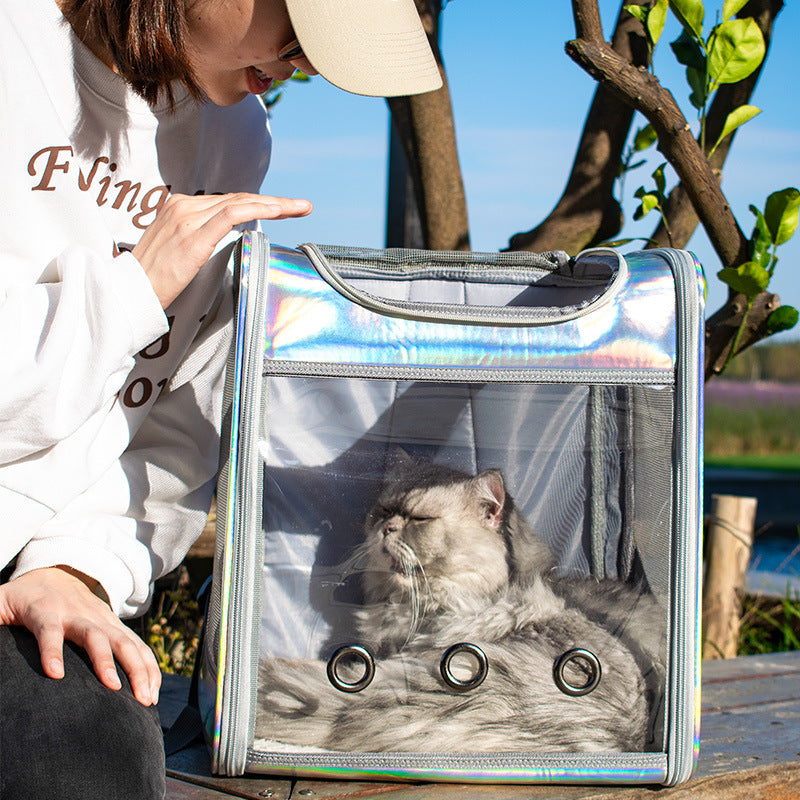 Large Transparent Pet Backpack