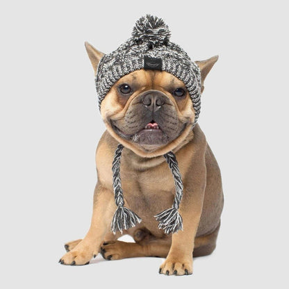 Windproof Knit Hat for Dogs