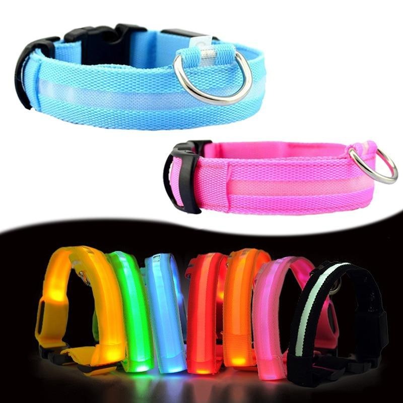 LED Dog Safety Collar – Night Glow